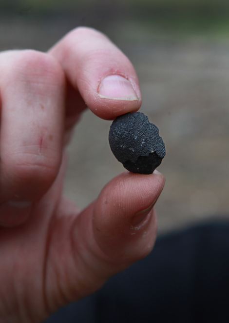 Meteor hunter Robert Ward displays a piece of a meteorite found in Lotus, California believed to between 4 to 5 billion years old.
